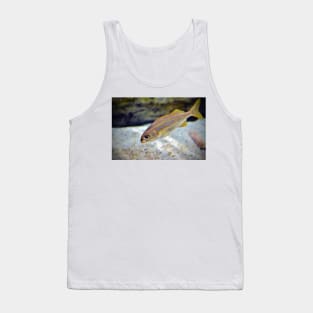 Bigeye Snapper Tank Top